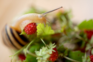 Similar image 21454302