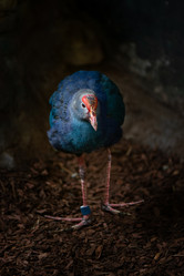 Similar image 21452386