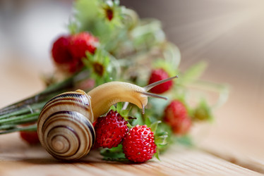 Similar image 21454303