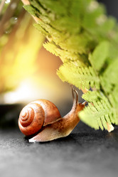 Similar image 21460130