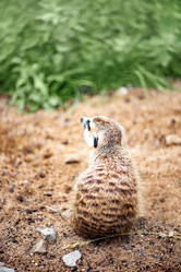 Similar image 21460131