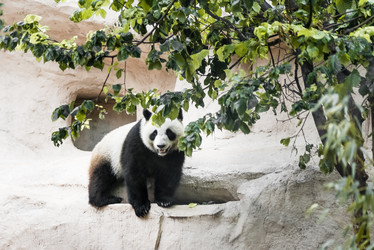 Similar image 21452387