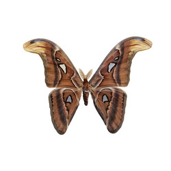 Similar image 21456285