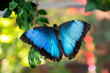 Similar image 21452388