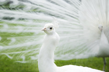 Similar image 21452389