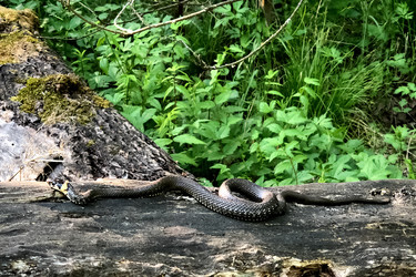 Similar image 21449765