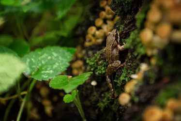 Similar image 21454309