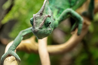 Similar image 21449766