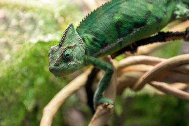 Similar image 21449767