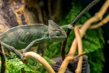 Similar image 21449768