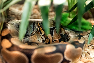 Similar image 21449769