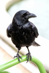 Similar image 21452523