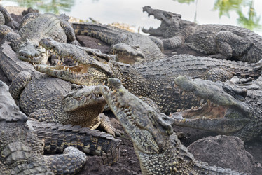 Similar image 21449771