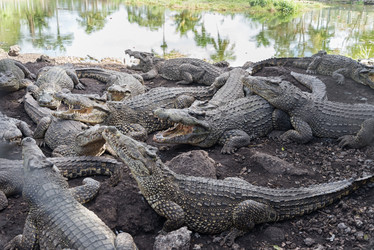 Similar image 21449772