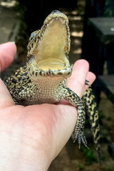 Similar image 21449773