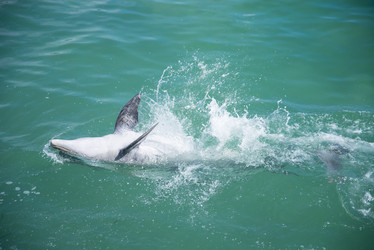 Similar image 21449776