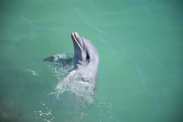 Similar image 21449777