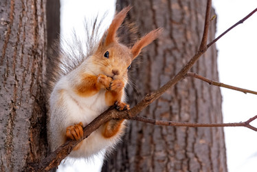 Similar image 21449779