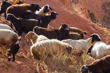 Similar image 21448787