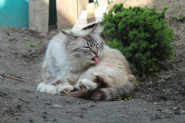 Similar image 21469696