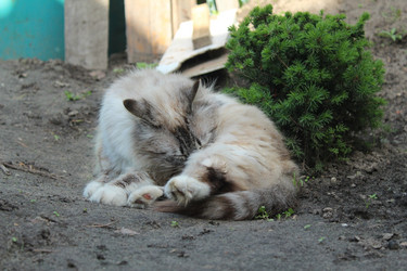 Similar image 21469697