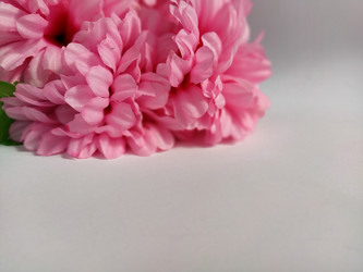 Similar image 21455400