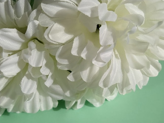 Similar image 21455499