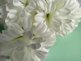 Similar image 21455500