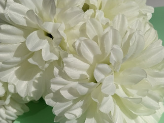 Similar image 21455501