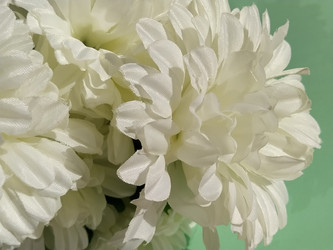 Similar image 21455502