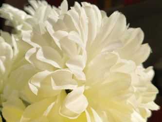 Similar image 21455503