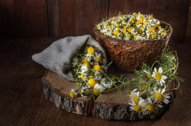 Similar image 21452083