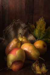 Similar image 21452086