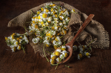 Similar image 21452095