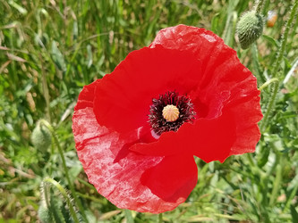 Similar image 21455505