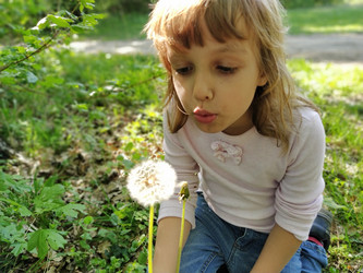 Similar image 21455523