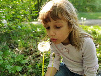 Similar image 21455525