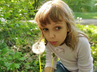 Similar image 21455527