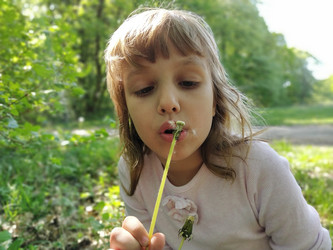 Similar image 21455535