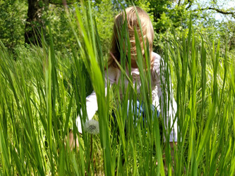 Similar image 21455753