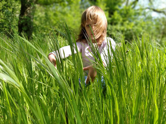 Similar image 21455754