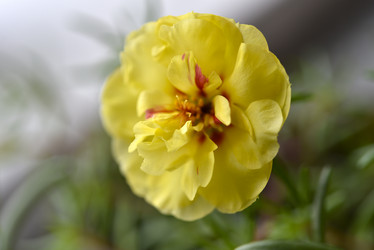 Similar image 21452098