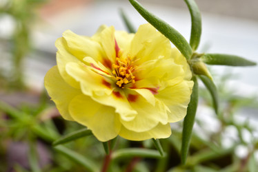 Similar image 21452100