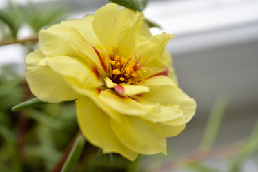 Similar image 21452101