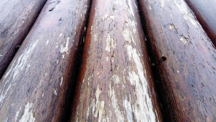 Similar image 21455895