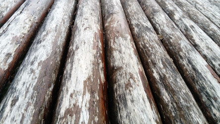 Similar image 21455900