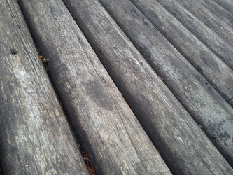 Similar image 21455904