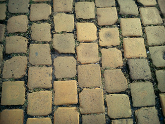 Similar image 21455907