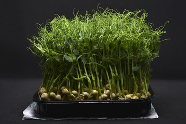 Similar image 21452102