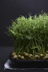 Similar image 21452103